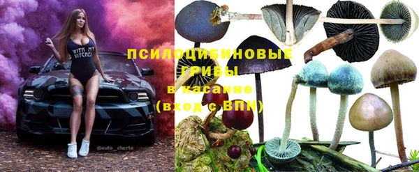 крисы Алексеевка
