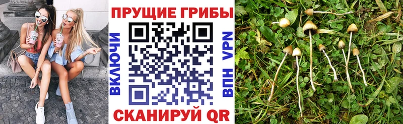 Галлюциногенные грибы ЛСД  Вихоревка 